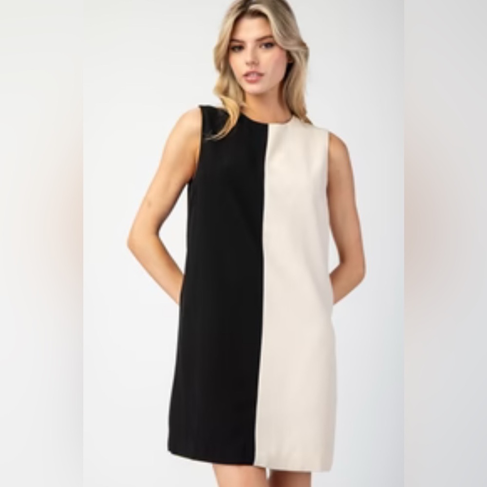 Elegant Black And Cream Sleeveless Dress